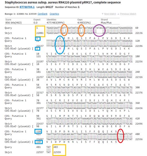 How do I interpret Nucleotide BLAST (blastn) pairwise .